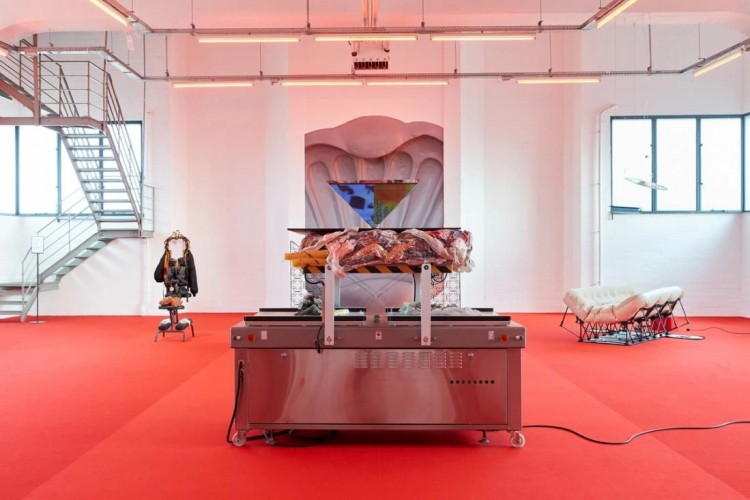 Image represents Δανάη Ανεσιάδου: “Παγώνοντας” ...